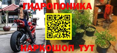 PSILOCYBIN Бузулук