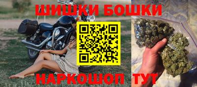 прущие крисы Будённовск