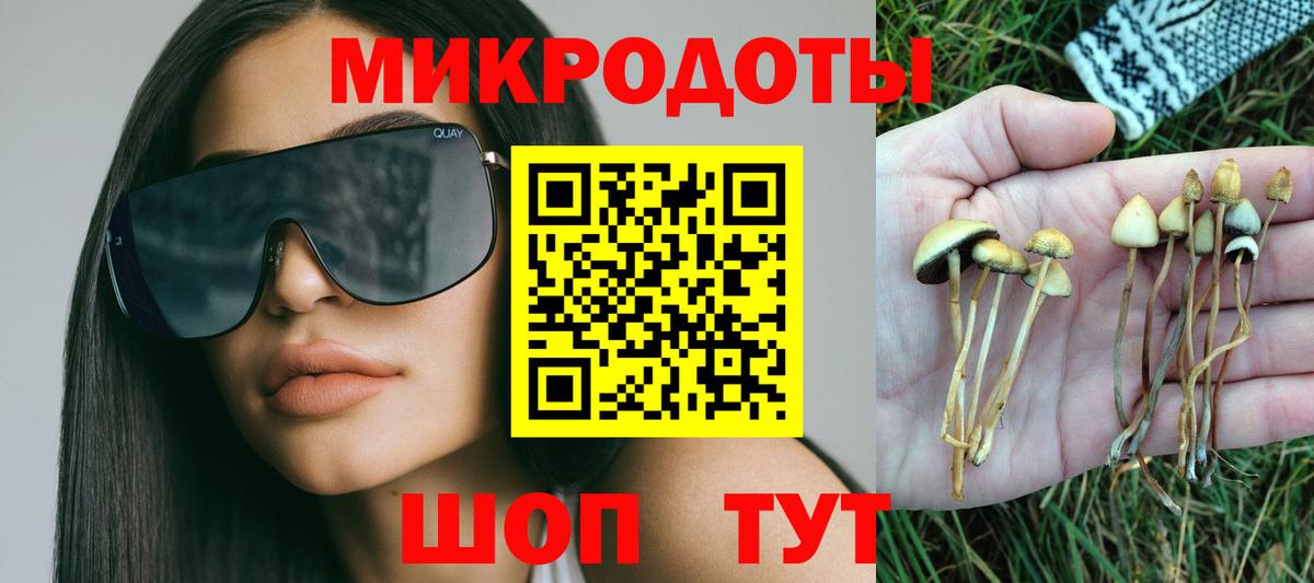 наркотики  Вход с VPN  Коркино  Псилоцибиновые грибы Cubensis 