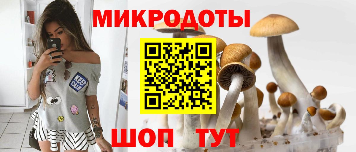 Псилоцибиновые грибы мухоморы Коркино